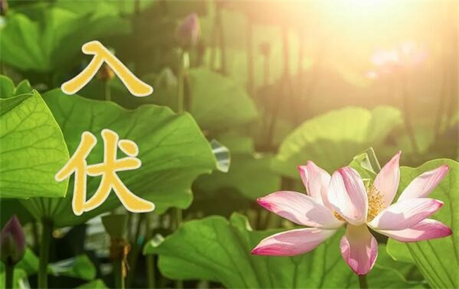 入伏后天气炎热的原因 2023年几号入伏 