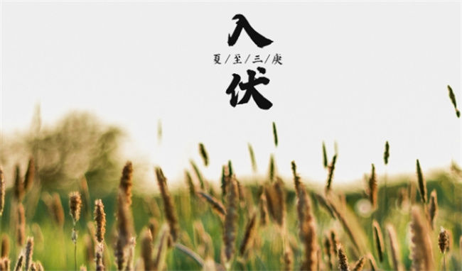 ​三伏天祛湿气最佳时间 三伏天祛湿气的方法有哪些 