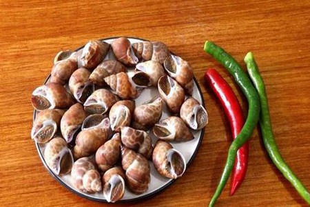 海螺怎么吃煮多久，正宗爆炒海螺的做法窍门