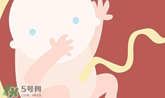 胎儿发育关键时期是什么时候？胎儿发育黄金期