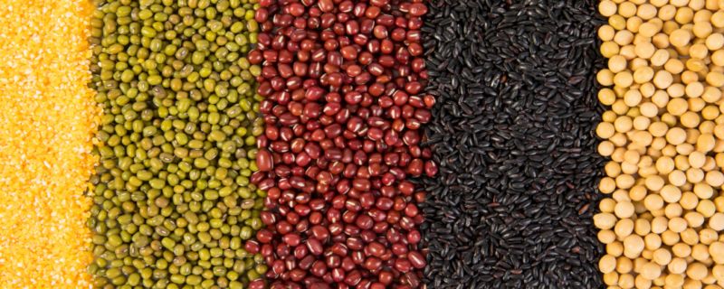 脂溢性脱发食疗方法 脂溢性脱发应该吃什么 