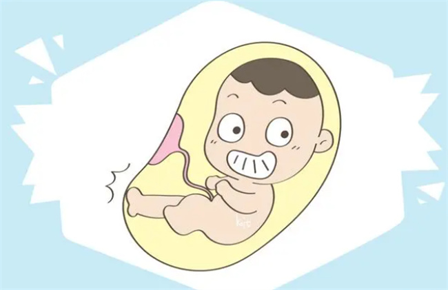 孕期这些情况 如果出现其中一种 都说明孩子高智商 