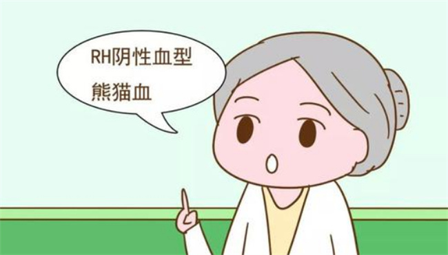 什么是熊猫血型rh阴性AB型血 什么是熊猫血型 