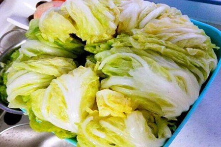 泡菜的腌制方法和配料，这款韩国泡菜的做法开胃下饭