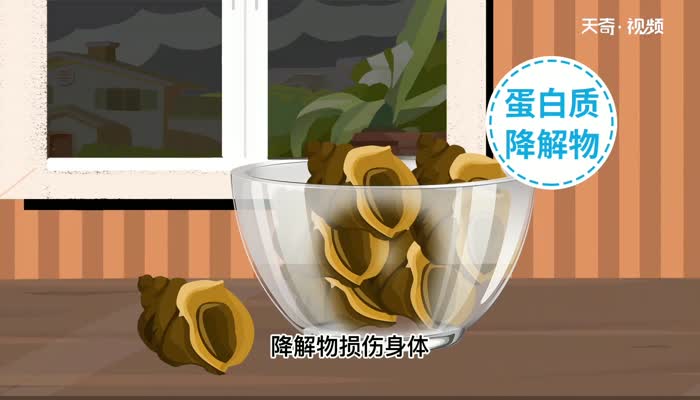 海螺隔夜可以吃吗 海螺隔夜能吃吗 