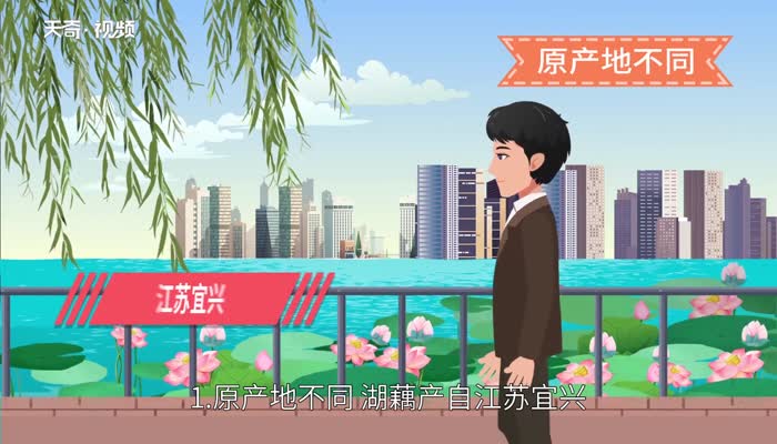 湖藕和莲藕的区别 湖藕和莲藕有哪些区别 