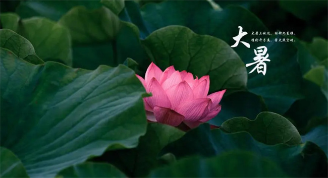 大暑代表什么 大暑是一年中最热的时候吗 
