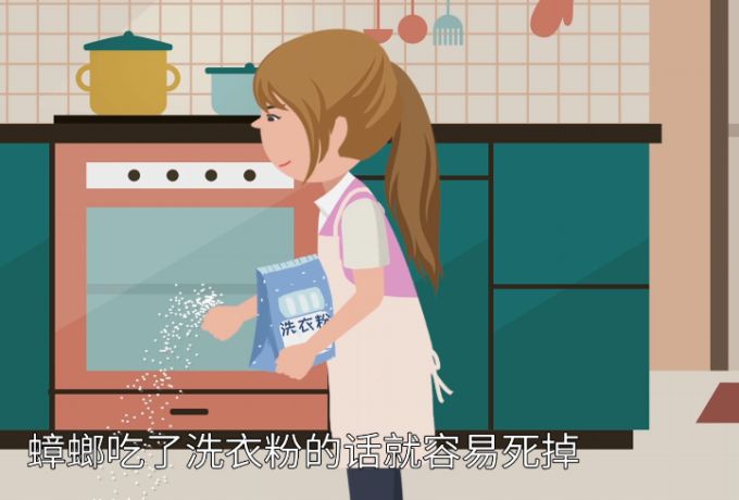 蟑螂怎么消灭 