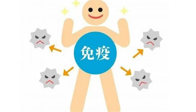 接吻能产生交叉免疫吗 交叉免疫是什么 