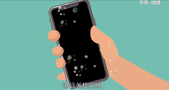 手机进水怎么处理 