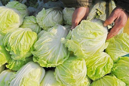 减肥期间吃什么最容易瘦？这五种食物女人减肥期间不可错过