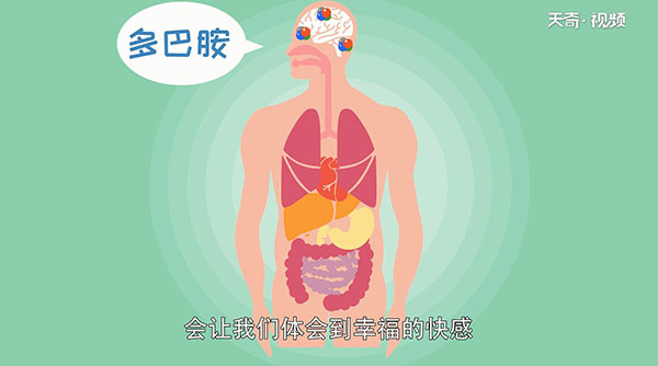 跑步的好处 