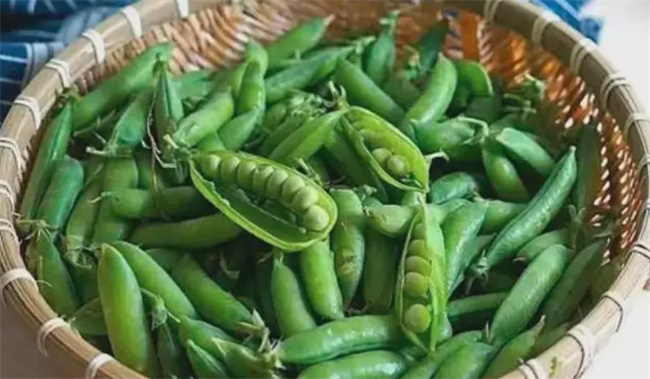 豌豆这么做真香  分享4种做法 色香味俱全 开胃解馋下饭菜 