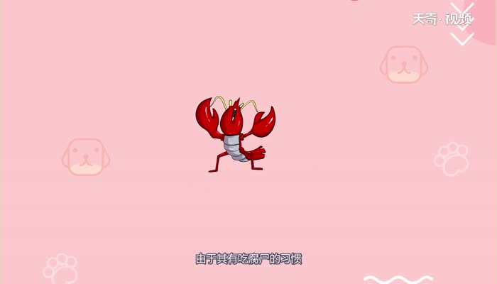 小龙虾有寄生虫吗  小龙虾有没有寄生虫 