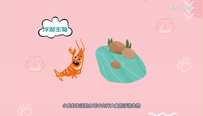 小龙虾有寄生虫吗  小龙虾有没有寄生虫 
