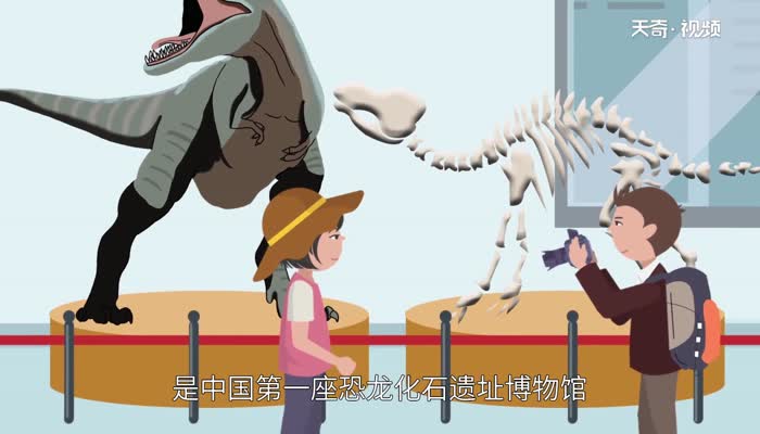 川c是四川哪里车牌号 川c是哪个城市 