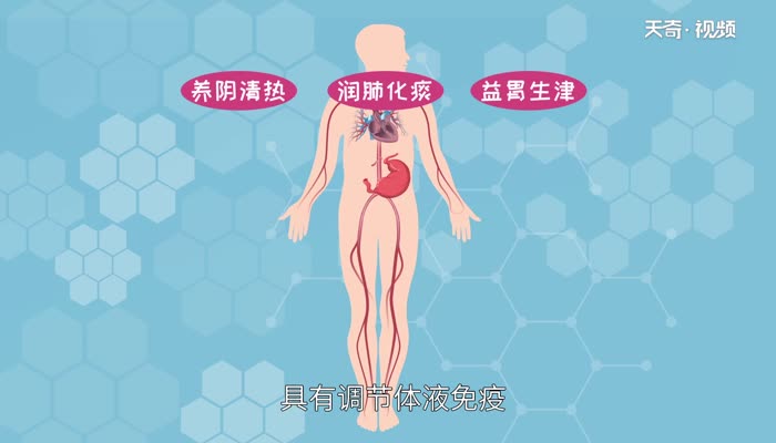沙参的功效与作用 什么人不能吃沙参 