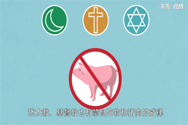 回族为什么不吃猪肉 