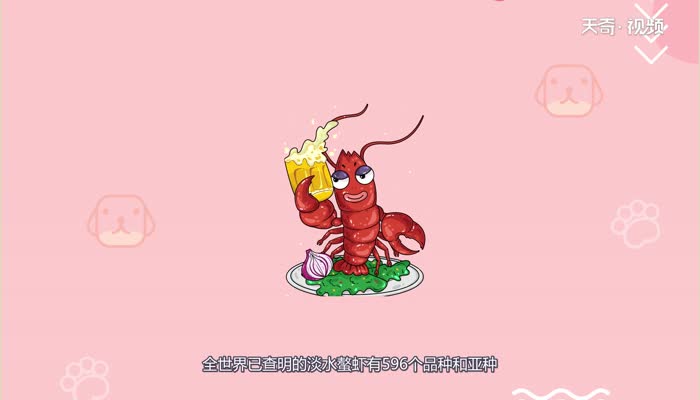 小龙虾有几个品种  小龙虾品种有几个 