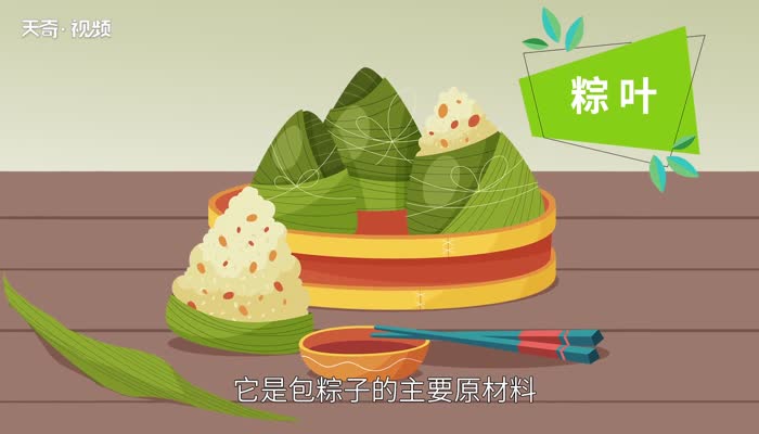 包粽子的叶子叫什么 包粽子用的叶子叫什么 
