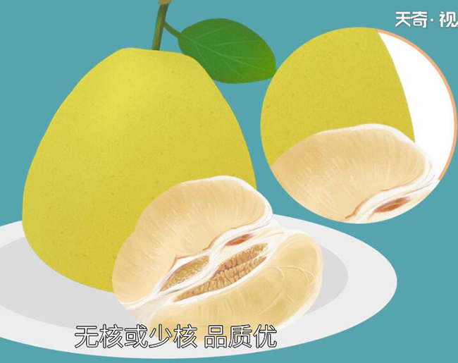 文旦和柚子的区别 