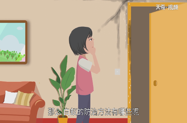 白蚁防治方法 