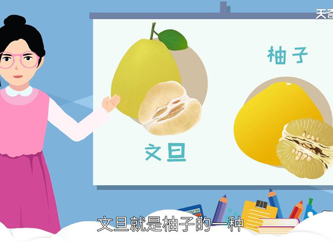 文旦和柚子的区别 