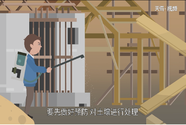 白蚁防治方法 