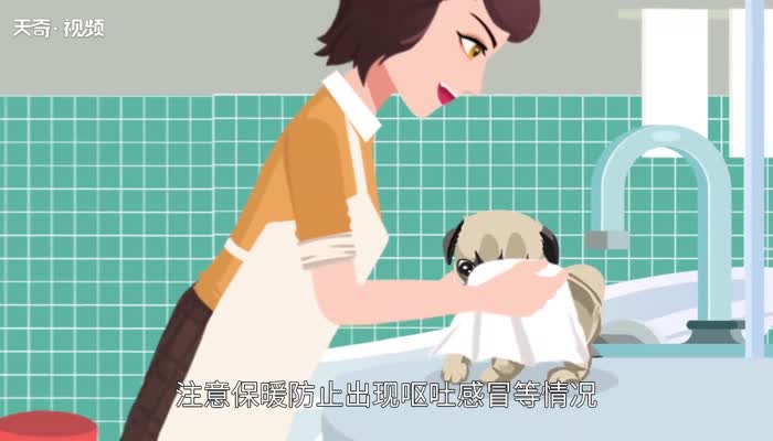 狗生产前的预兆 狗生产前的预兆有哪些 