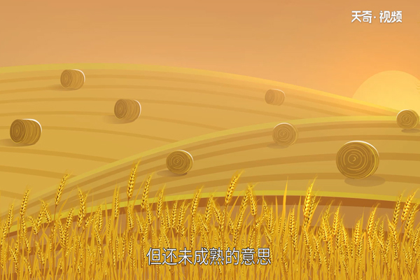 小满是什么意思 