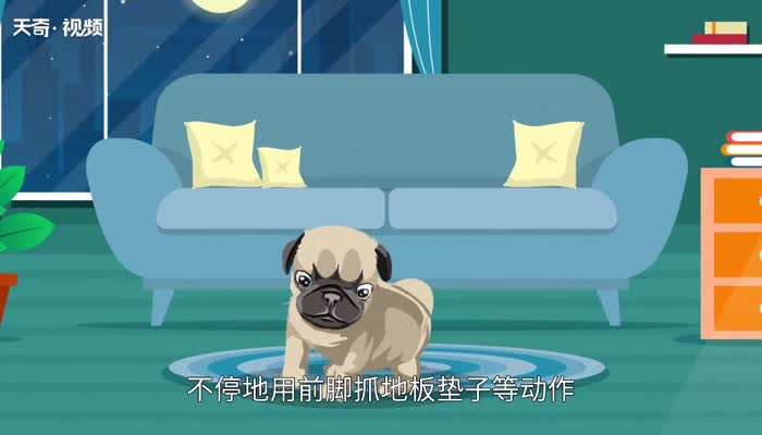 狗生产前的预兆 狗生产前的预兆有哪些 