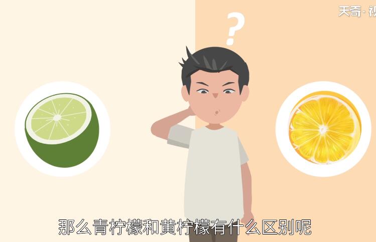 青柠檬和黄柠檬的区别 