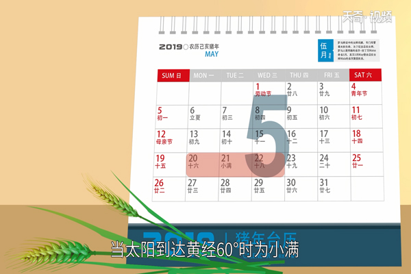 小满是什么意思 