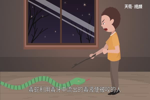 五毒是哪五毒  五毒之王是谁 