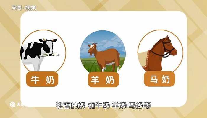 哪些食物含蛋白质 哪种食物含蛋白质 