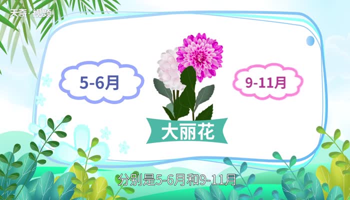 九月开什么花  九月份有什么花开 