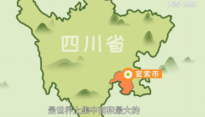 蜀南竹海在哪里  蜀南竹海在什么地方 