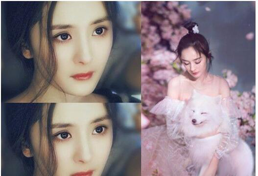 女生额头高适合什么发型 关于脸型与发型的搭配技巧