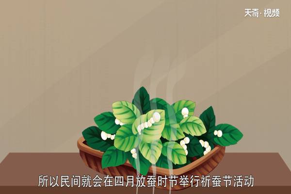 小满的习俗有哪些 
