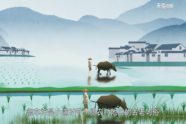 小满的习俗有哪些 