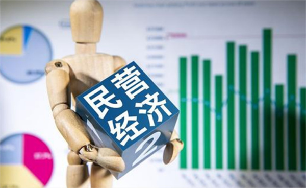 国家将从哪些方面促进民营经济发展 