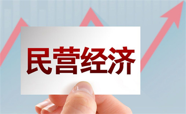 国家将从哪些方面促进民营经济发展 