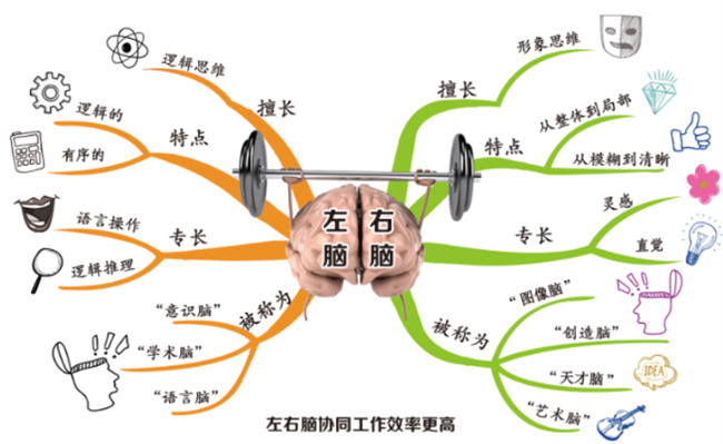 人如何高效记忆，怎么更快的掌握知识点 