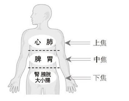 夏季湿热上火怎么办 去湿热毒最快的方法吃三仁粥