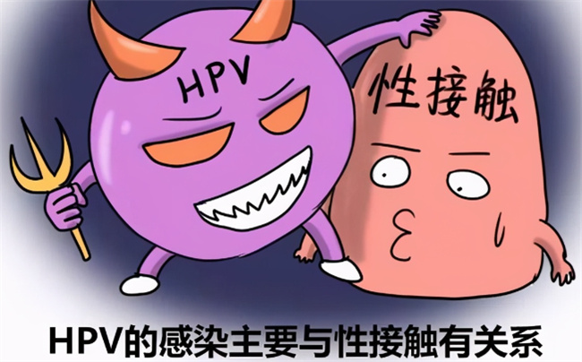 HPV感染后一定要谨记这几点能转阴，HPV感染途径有哪些 
