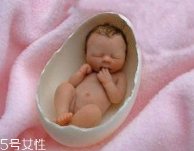 怀孕前女性有哪些禁忌 女性备孕期有哪些禁忌
