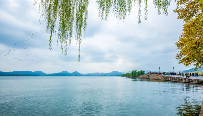 暖树是什么意思 暖树是什么意思是什么 