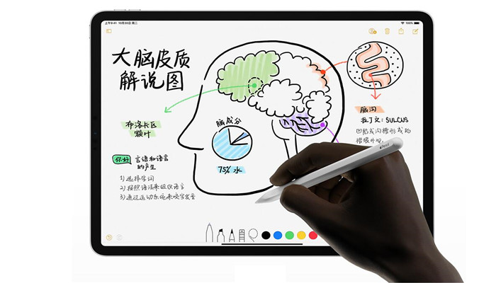 ipad6th是什么型号 ipad6th型号是什么 