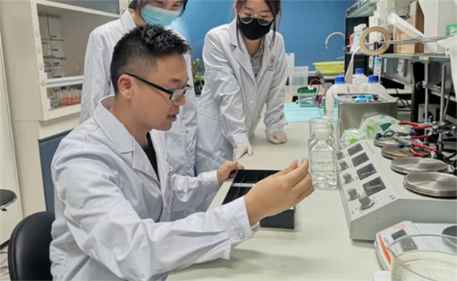 我国成功研发出猪肉米，什么是猪肉米 