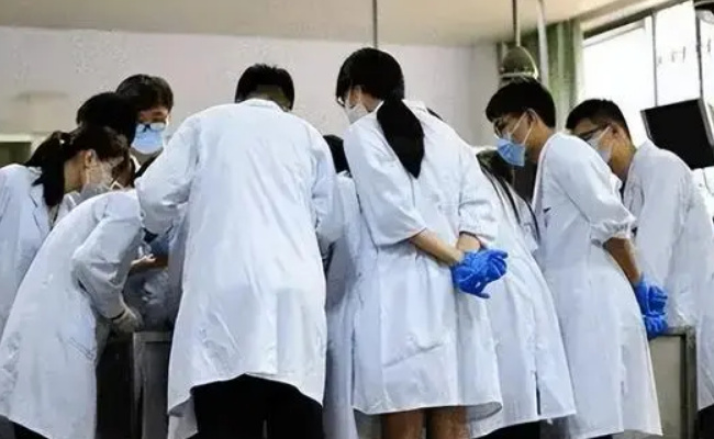 陷在规培证里的专硕医学生，情况如何 